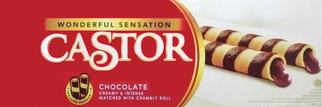 Castor. (@chinerisme) / Posts / X