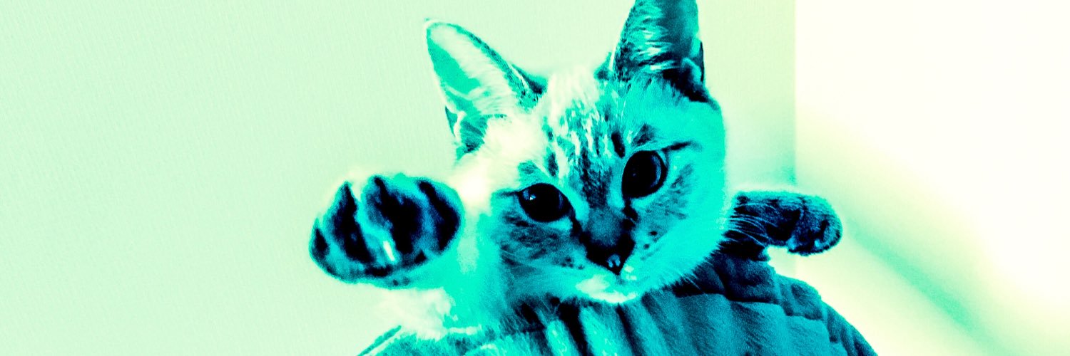 smurf_59's profile banner image