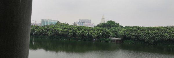 DuoHong44622 Profile Banner