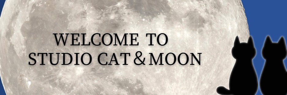 いのの(ちょこ)｜webデザイナー banner