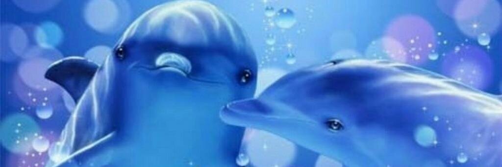LionCanny's profile banner image