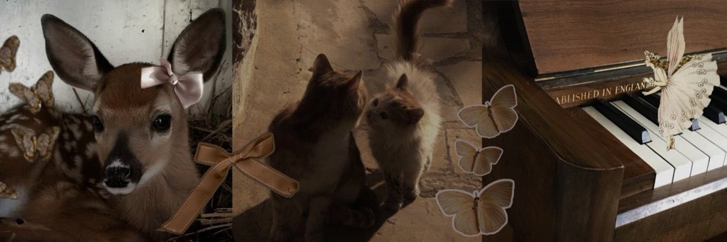 kat 𐂂^ྀི | 𝙥𝙝𝙞𝙡𝙤𝙞𝙨𝙚 𝙚𝙧𝙖 banner