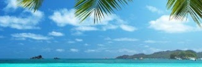 sezacation's profile banner image