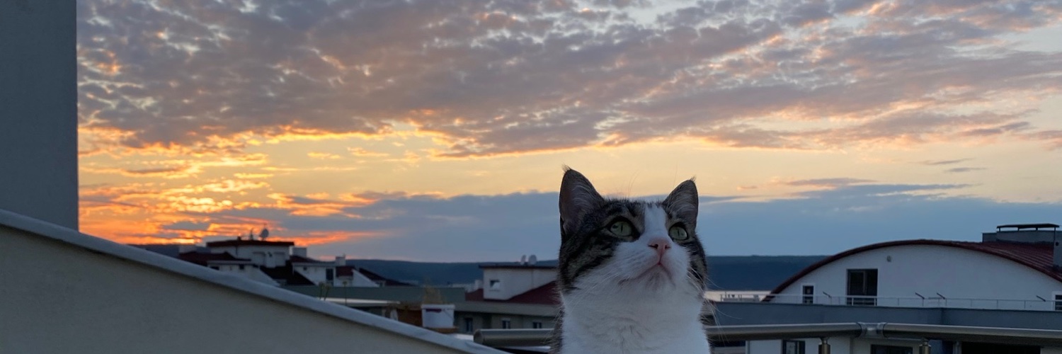 poleslove's profile banner image
