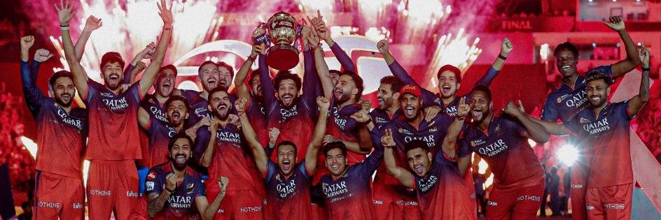 innings ➊➑➌'s banner