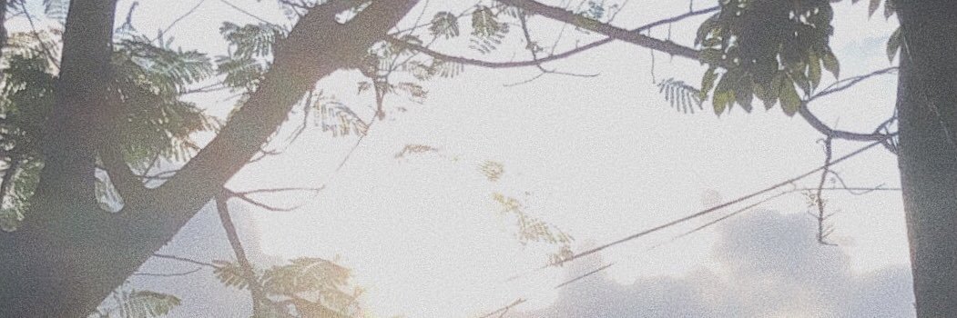 otissszz's profile banner image