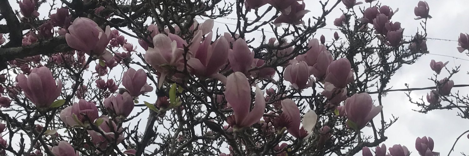 justinjohnston's profile banner image