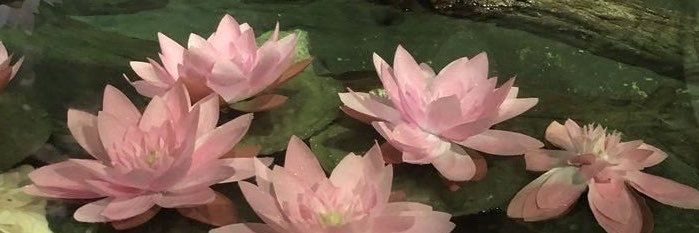 7tbspvanilla's profile banner image