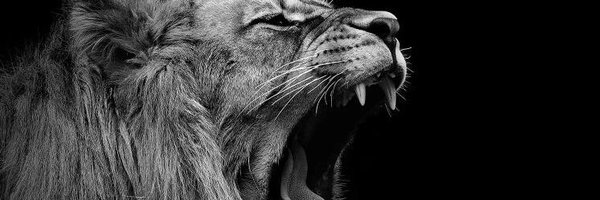 MidnightVaults Profile Banner