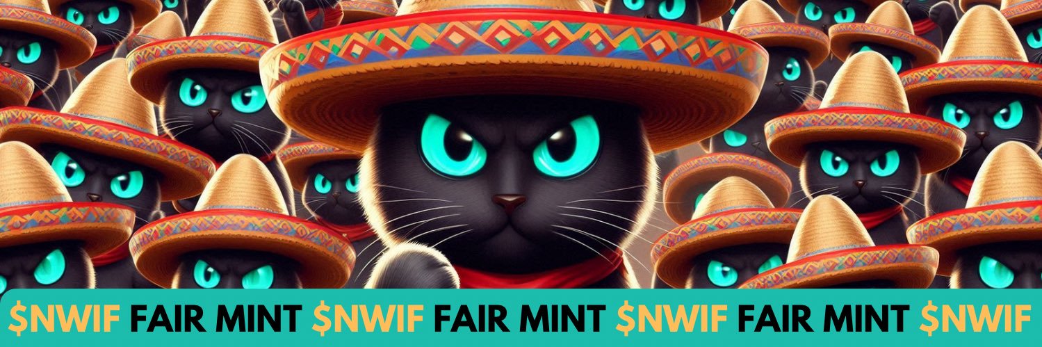 NACHOWIFHAT banner