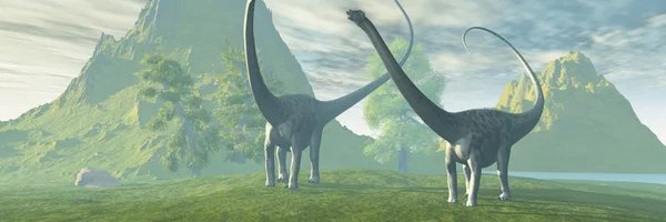 MGHbroker's profile banner image