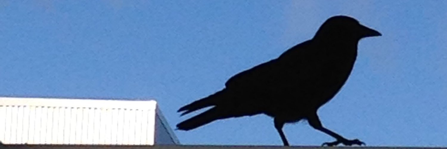 EarthSchool's profile banner image