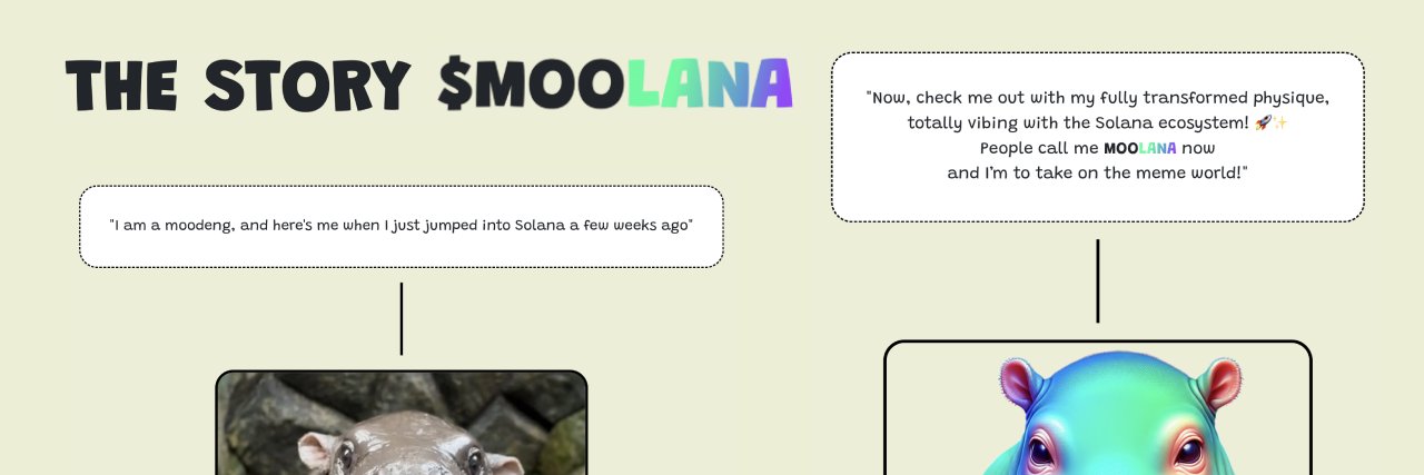moolanasol's profile banner image