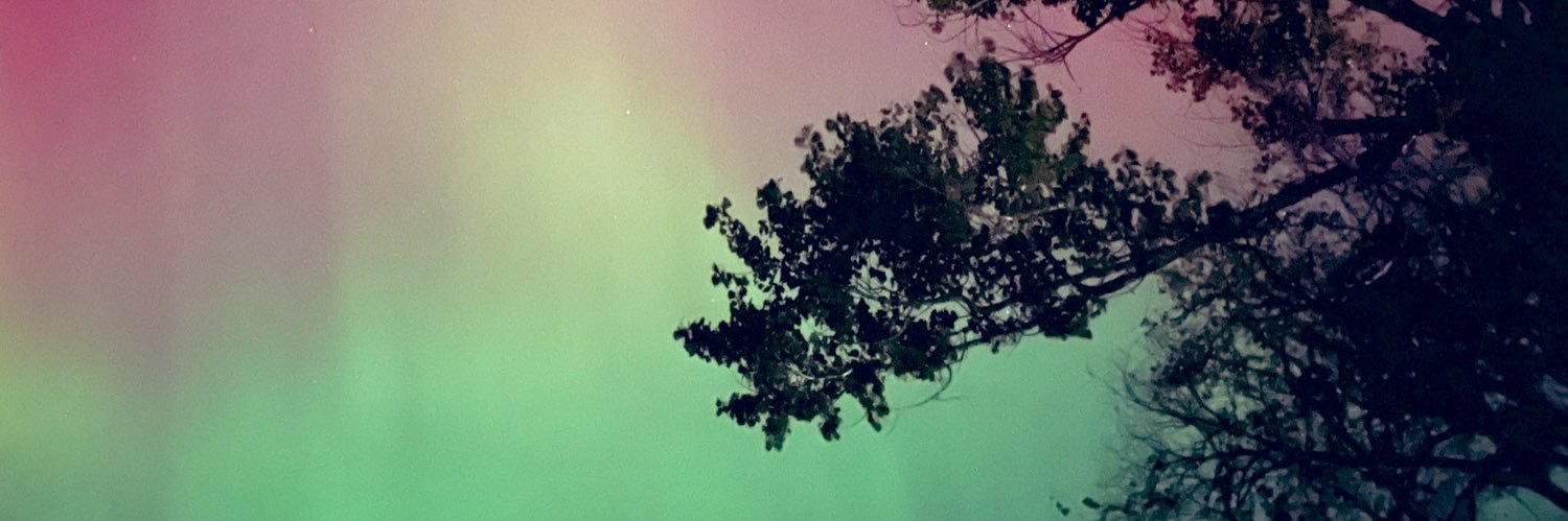 staceysnow's profile banner image