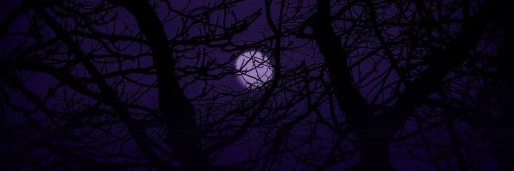 vve_ian's profile banner image