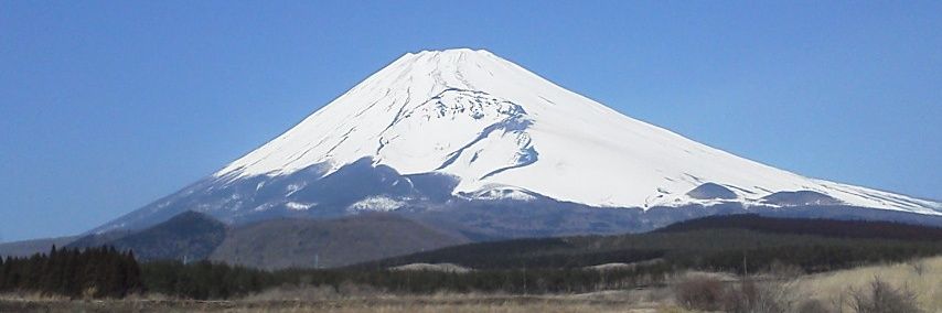 amazan91's profile banner image