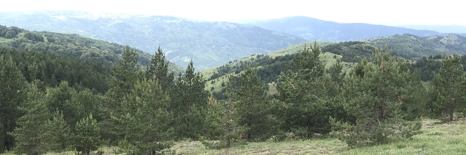 turhanguler's profile banner image