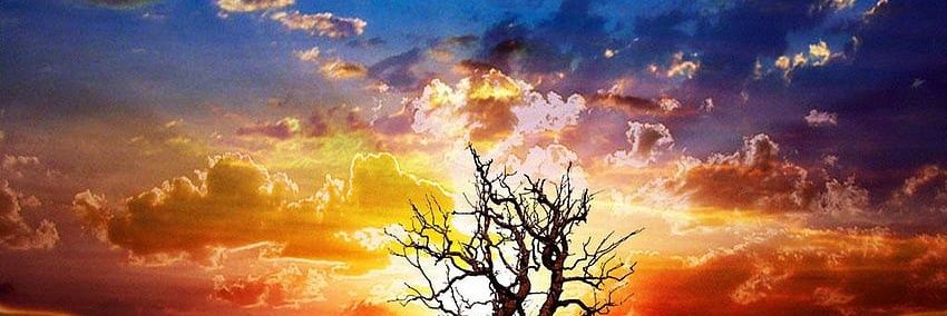 Green_Ai01's profile banner image