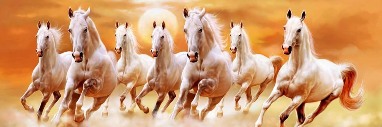 susanraee's profile banner image