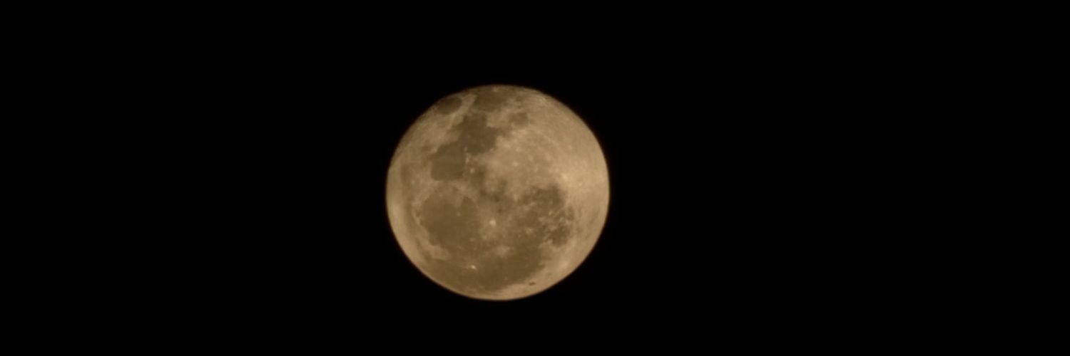 laurimdb's profile banner image