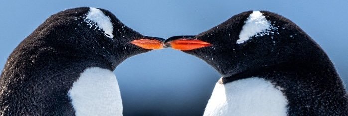 ウルトラあんぱんだ banner