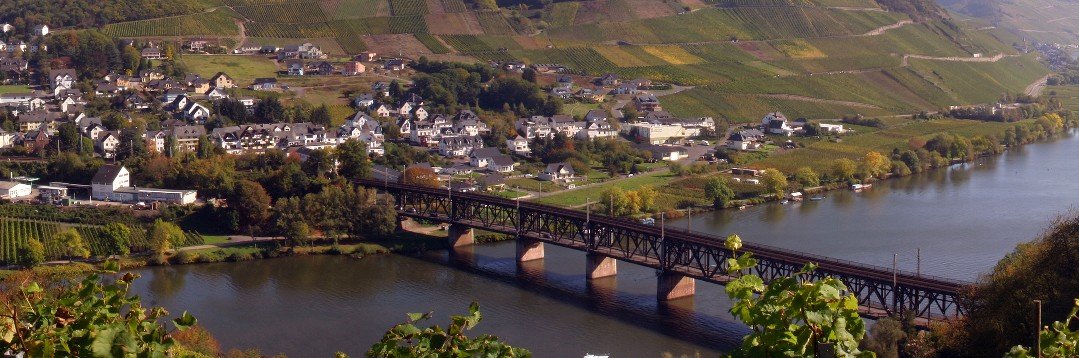 steinweine's profile banner image