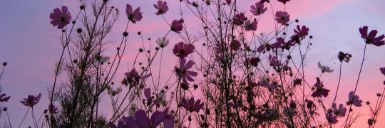 Marimagdalena93's profile banner image