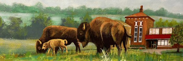 TheNorthLibrary Profile Banner