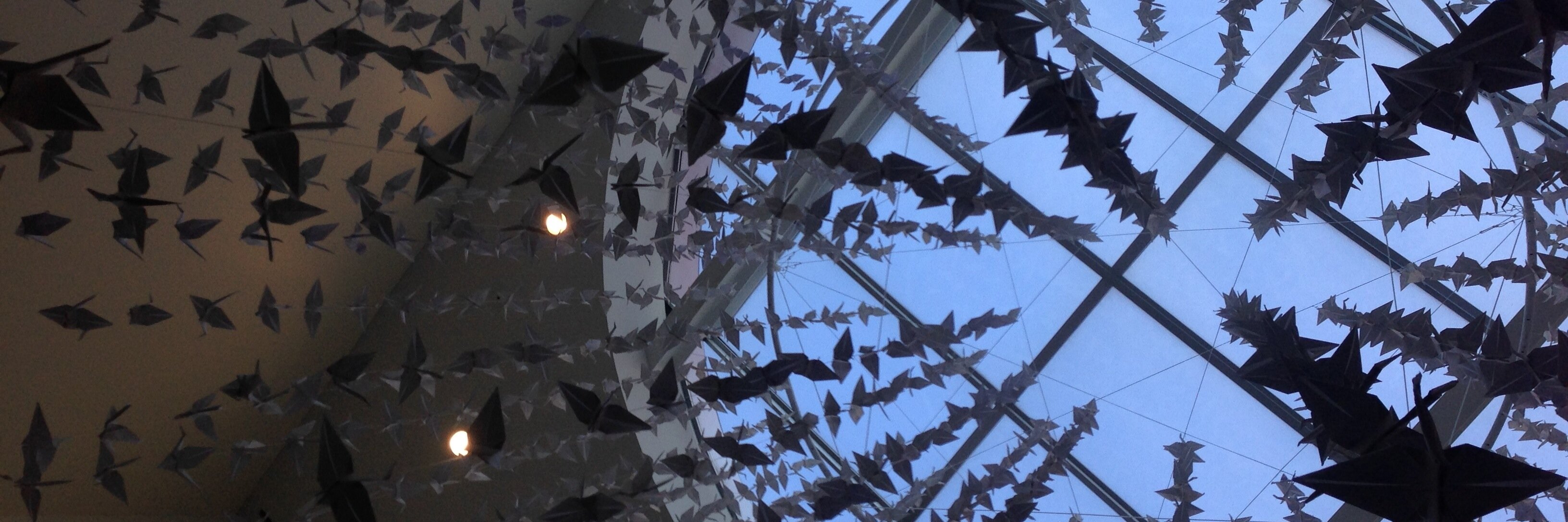 Nicholas Lindley banner