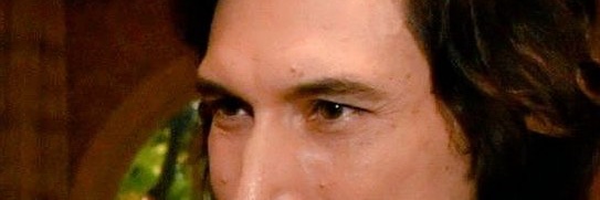 Elizabeth 🌹🐝 🇺🇸 💜 banner