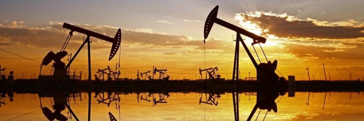 Sjon Hert 🇳🇱🌐🏴‍☠️ banner