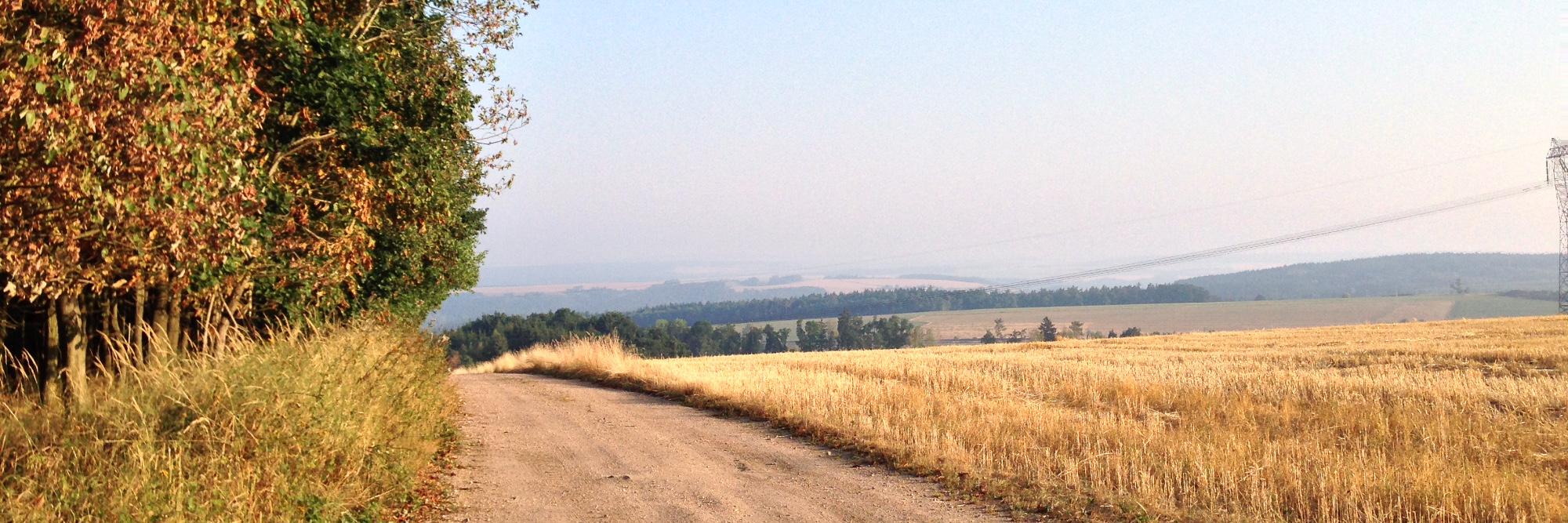 Petr Ferschmann banner