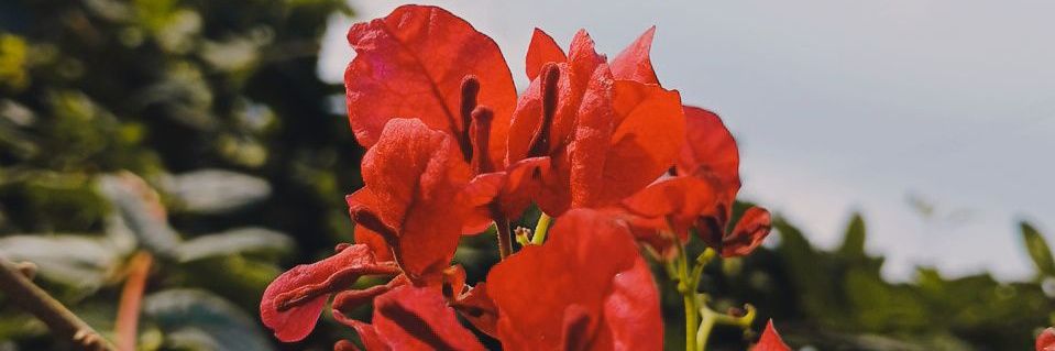 co_cba's profile banner image