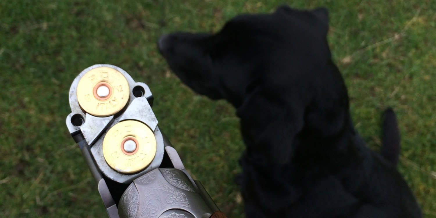 Neil Borthwick banner