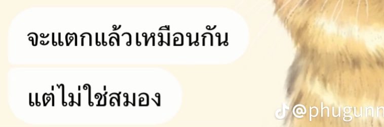 PPn (ดึก) banner