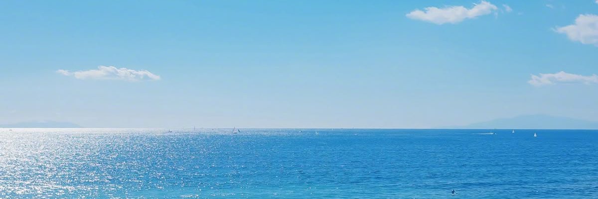 하솔 banner