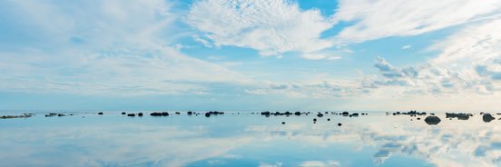 帰ってきたギャルぴ banner