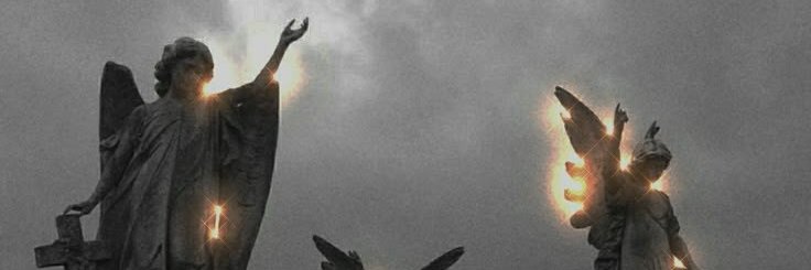 Mιƈԋαҽʅ banner