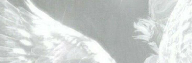 tickingkitty's profile banner image
