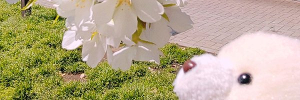 mawaru3333 Profile Banner