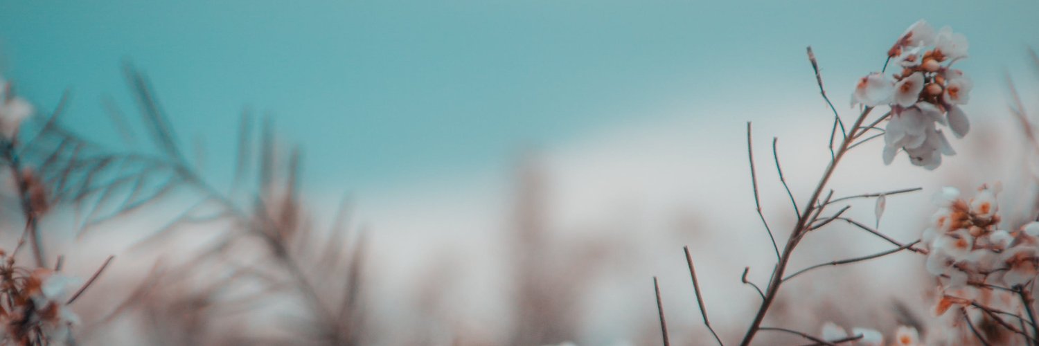 jaiver_c25's profile banner image