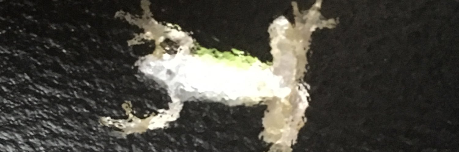 sunagimo_6's profile banner image