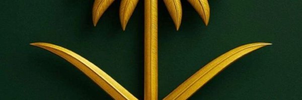 kml1S300 Profile Banner