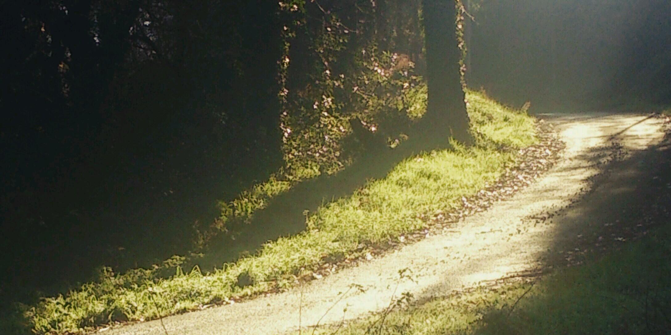 Ccaog's profile banner image