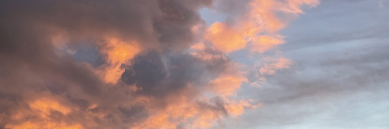 laaurenhunt's profile banner image