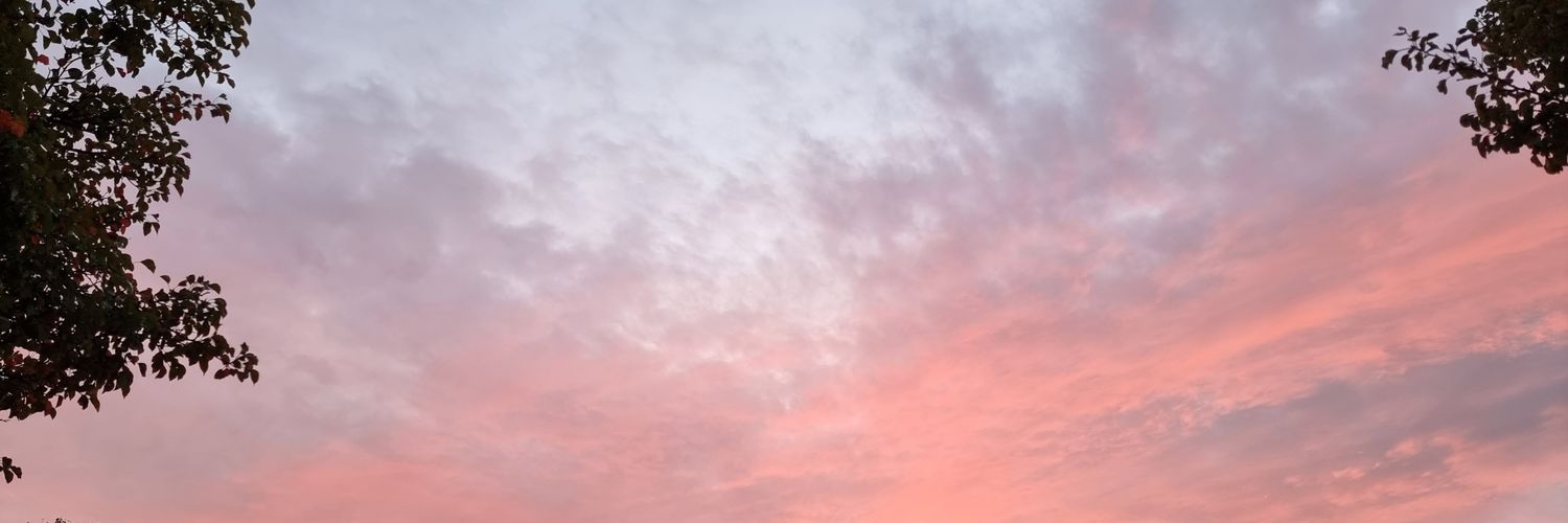 yinniex's profile banner image