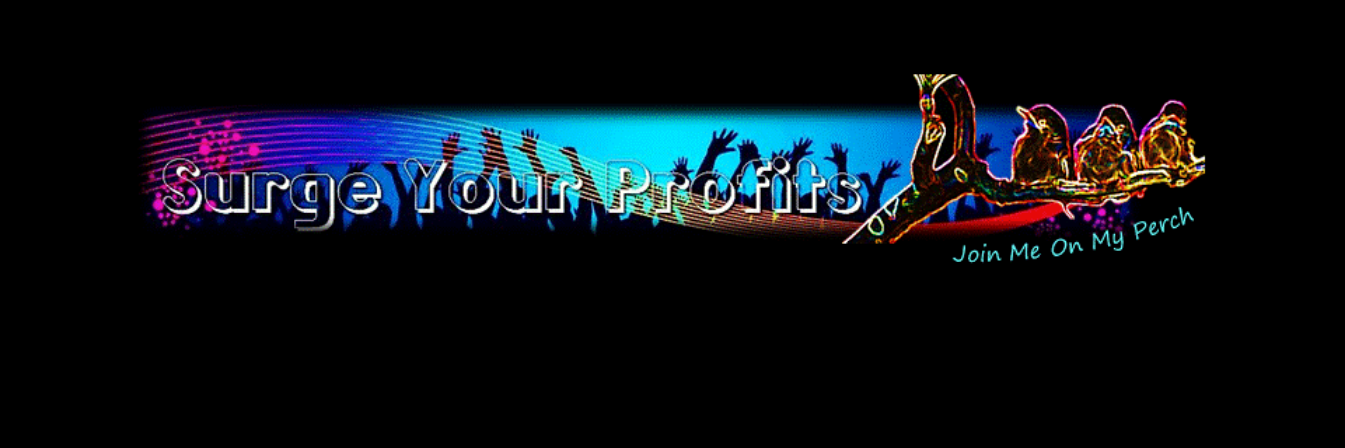 SurgeYorProfits's profile banner image