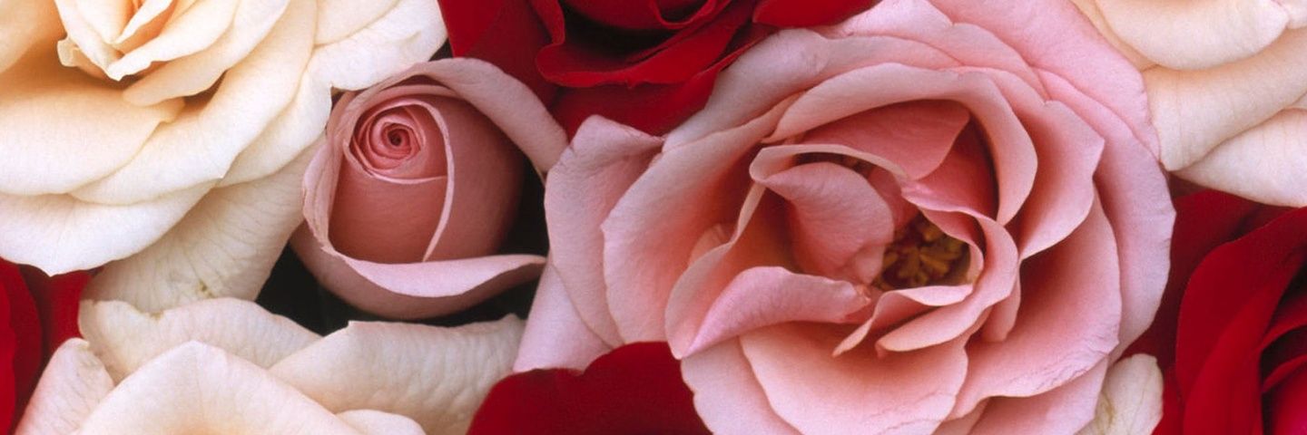 💋 CﾑՐ൬૯Ŋ 🌼🍃💕 banner