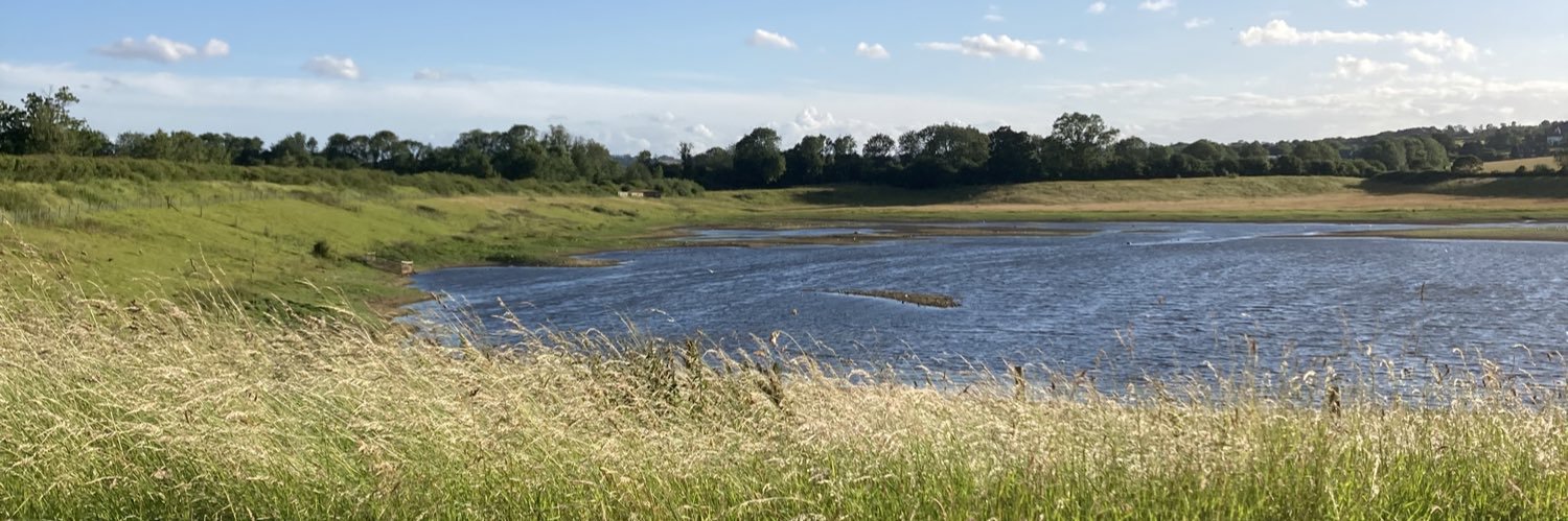 QueSeraSarah 🎶🐦‍⬛ banner