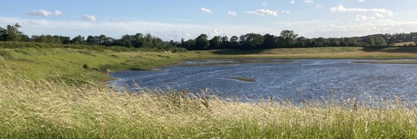 GoodOldSarah Profile Banner